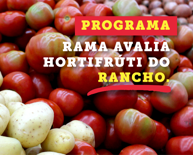 Programa avalia hortifruti da Rede Vivo e Rancho Atacadista